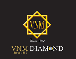 Free logo maker for creating professional logo designs. Vnm Projects Photos Videos Logos Illustrations And Branding On Behance