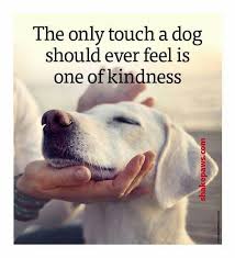 The Only Touch A Dog Should Feel Is One Of Kindness Dog Cutepuppies Dogs Pets Animals Doglover Lovemydog Furryfriend Woof Dogs Dog Quotes I Love Dogs
