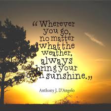 Sunlight Quotes Quotesgram