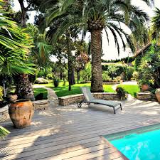 Your palm trees flower beds stock images are ready. Palm Trees For Transforming Your Yard Into Paradise