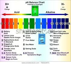 Ph Balance Of Water Verdementa Co