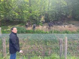 ביקרת ב‪parc animalier du herisson‬? A Muchedent Le Parc Reve De Bisons Rouvre Demain Les Informations Dieppoises