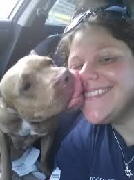 Stolen Dog in King County Area