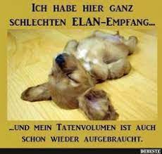 900 Sprucheklopfer Ideen Lustige Spruche Witzige Spruche Coole Spruche