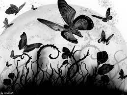 Find the styles & brands you'll love. Black Butterfly Images Hd 1024x768 Wallpaper Teahub Io