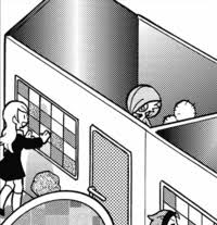 Ace Duo (Trainer class)