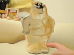 Trending images, videos and gifs related to doge! Doge Know Your Meme