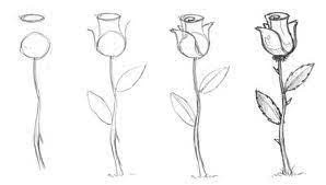 How To Draw A Rose Drawings Flower Drawing Roses Drawing
