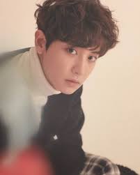Maybe you would like to learn more about one of these? Exo Member Profile And Facts Chanyeol Internet Rebels