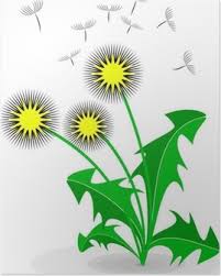 500 x 719 jpg pixel. Poster Kleurplaten Met Bloemen Set Boek Pixers We Leven Om Te Veranderen