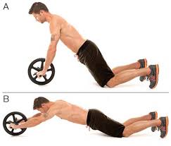 5 best ab roller exercises to get ripped faster ab wheel