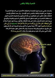 Desertrose آيات على عظمة الخالق الحمدلله على نعمة الاسلام Miracles Of Quran Islam Beliefs Islamic Information