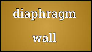 Very crucial for spoken english as well as competitive exams! Diaphragm Wall Meaning Youtube