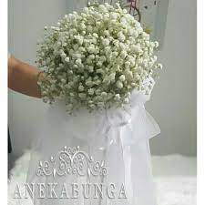 Download lagu bunga pengantin evis mp3 dapat kamu download secara gratis di metrolagu. Buket Bunga Pernikahan Baby Breath Asli Fresh Hand Bouquet Wedding Flower Bucket Pengantin Bride Box Shopee Indonesia