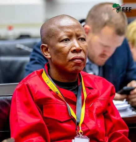 ♦️In Pictures♦️ EFF President Julius Sello Malema, alongside Deputy Secretary-General Leigh-Ann Mathys and Head of Presidency Vuyani Pambo, at the Ad Hoc Committee hearing submissions from suspended Minister of Police, Senzo Mchunu. #