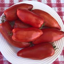 Image result for tomato San Marzano