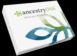 Try signing in to ancestry using a recommended browser. 10 Best Dna Test Kits In 2021 100 Safe Accurate