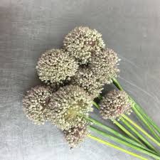 Maybe you would like to learn more about one of these? Austin Flower Marketaustin Flower Market