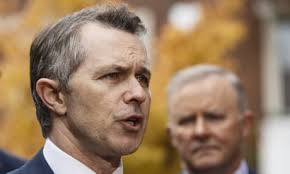 Could a climate of change eject the Liberals from the Perth blue-ribbon  seat of Curtin?