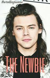 BEST HARRY STYLES FANFICS❤️