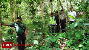 Karena pada dasarnya kita mengirim langsung ke pihak hrdnya. Polsek Donomulyo Dan Polsus Perhutani Kompak Jaga Kelestarian Hutan Times Indonesia