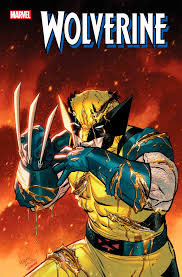 Image result for wolverine