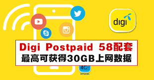 Each roaming plan has a varying expiration period (i.e. Digi Postpaid 58é…å¥— æœ€é«˜å¯èŽ·å¾—30gbä¸Šç½'æ•°æ® Winrayland