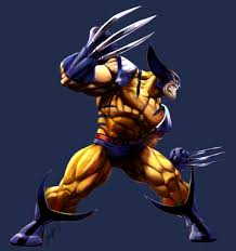 Wolverine Slashing Google Search Wolverine Marvel Art Wolverine Artwork Wolverine Character
