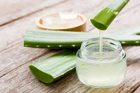 Image result for Aloe