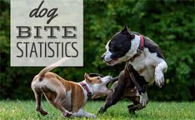 Dog Bite Statistics How Likely Are You To Get Bit