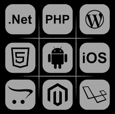 IDeveloping Solutions