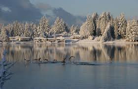 Maybe you would like to learn more about one of these? Silver Lake Mill Creek Wa Beautiful Pictures Mill Creek Evergreen
