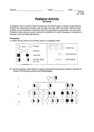 The symbols used for a pedigree are. Pedigree Activity Biology Worksheet Printable Pdf Download