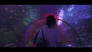 Antalya Akvaryum 2019 Antalya Akvaryum Antalya Aquarium Tunel Akvaryum