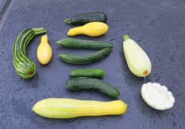 Deer don't like eating cucumber but they may eat the plants and leaves. Happy Acres Blog Life In The Slow Lane Page 14