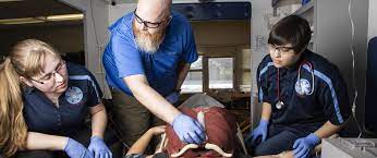 Paramedic Application Process - Uaf Community & Technical College