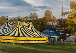 Les Bouglione Inaugureront Le Premier Eco Cirque Au Monde Aucun Animal Prevu Au Spectacle Ou Presque Spectacle De Cirque Cirque Animaux