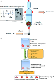 Pure water systems are used to produce pure water, simply put. A Review On The Biosynthesis Of Metal And Metal Salt Nanoparticles By Microbes Rsc Advances Rsc Publishing Doi 10 1039 C8ra10483b