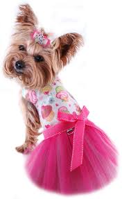 Pin By Zoe Gocx On Cool Dog Stuff I Love Dog Harness Dress Dog Dresses Dog Harness