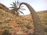 صور دينيه اسلامية