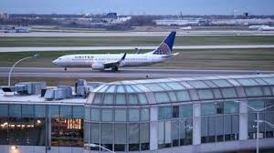 We're an experienced animal travel agency and pet moving company. United Suspends New Bookings For Pets In Cargo After Loading 3 Dogs Onto Wrong Flights Chicago Tribune