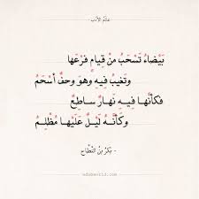 شعر عن الابن البكر – ووردز