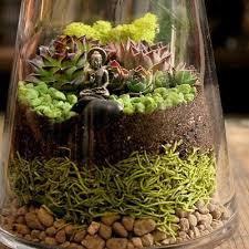 Alapash Terrariums And Home Accesories Zen Garden Diy Terrarium Zen Garden Design