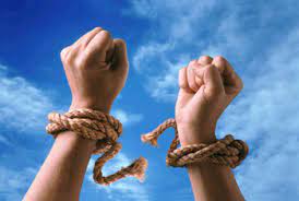 Those Who Expect To Reap The Blessings Of Freedom Must Like Men Undergo The Fatigues Of Supporting It Thomas Paine The Culture Alternative