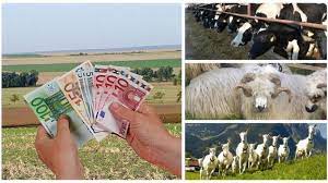 Data de referință pentru subvenția ant la bovine nu se schimbă începând din 2021. SubvenÈii Apia Perioadele De RetenÈie In FermÄ Pentru Ovine Èi Bovine