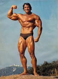 Fitness Adda Arnold Schwarzenegger Workout Chart