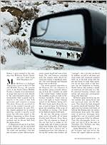 Hey, you guys want to drive through that cactus patch? Review Rake S Progress By Charles Bock Harper S Magazine