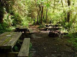 We did not find results for: Backcountry Designated Campsites Redwood National And State Parks U S National Park Service
