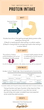 Why Is Protein Important To The Diet How Much Protein Should I Be Getting In And Does Timing Matter Find O Workout Diet Plan Workout Food Bodybuilding Diet