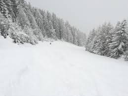 Nederland krijgt woensdag te maken met sneeuw. Live Verslag Extreme Sneeuwval In Oostenrijk